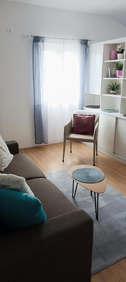 Apartment Dorina Buje Exterior photo