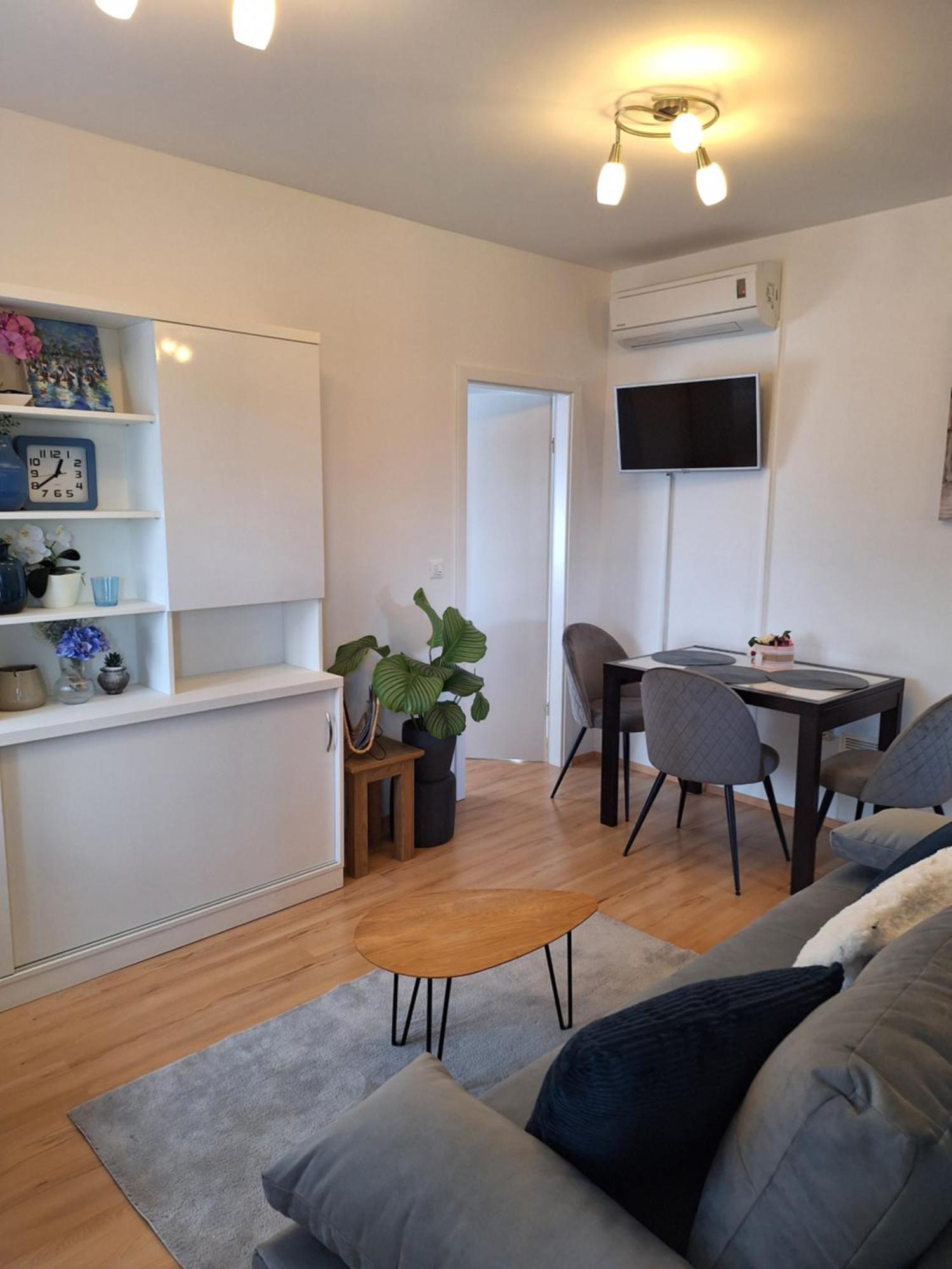 Apartment Dorina Buje Exterior photo