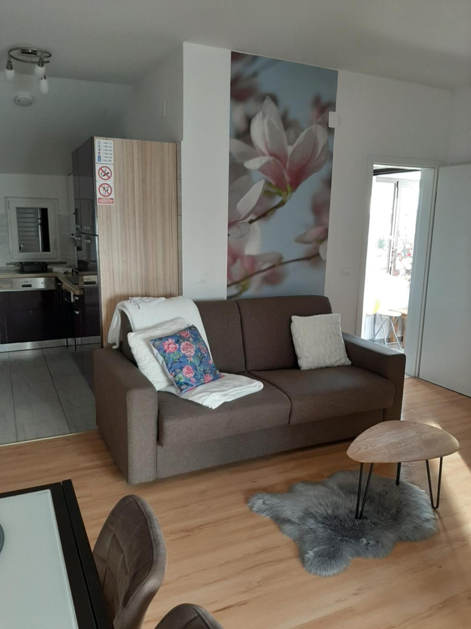 Apartment Dorina Buje Room photo