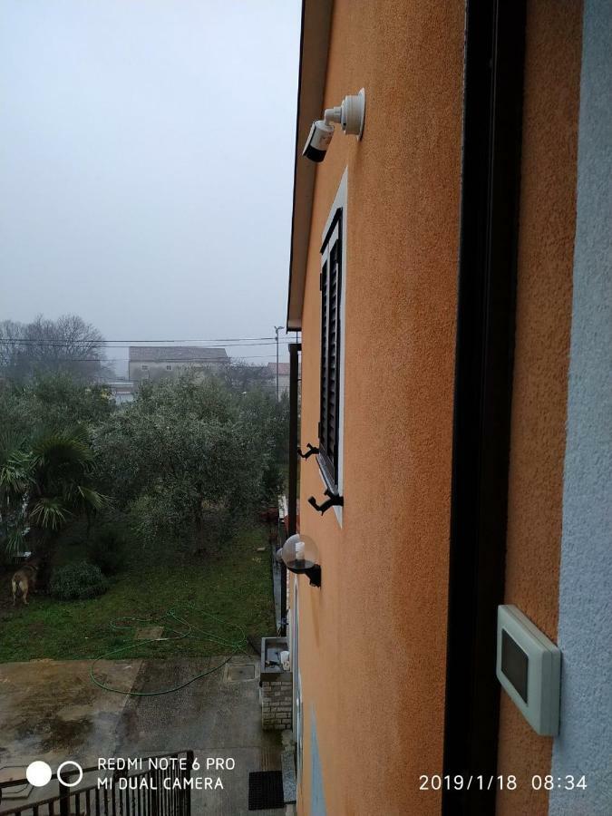 Apartment Dorina Buje Exterior photo
