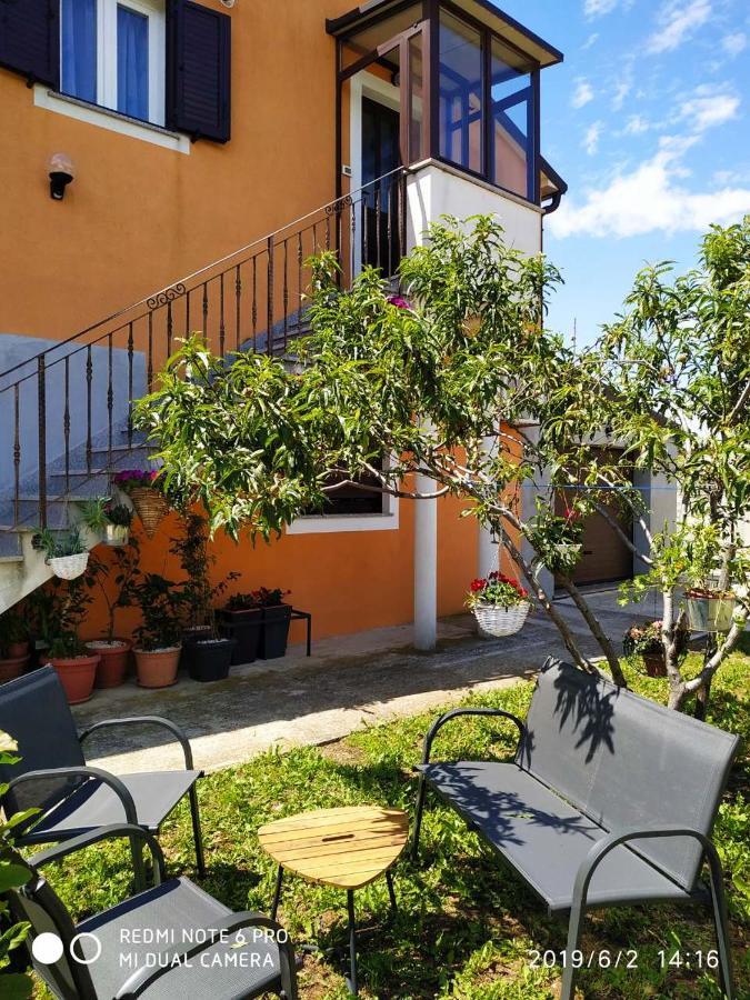 Apartment Dorina Buje Exterior photo